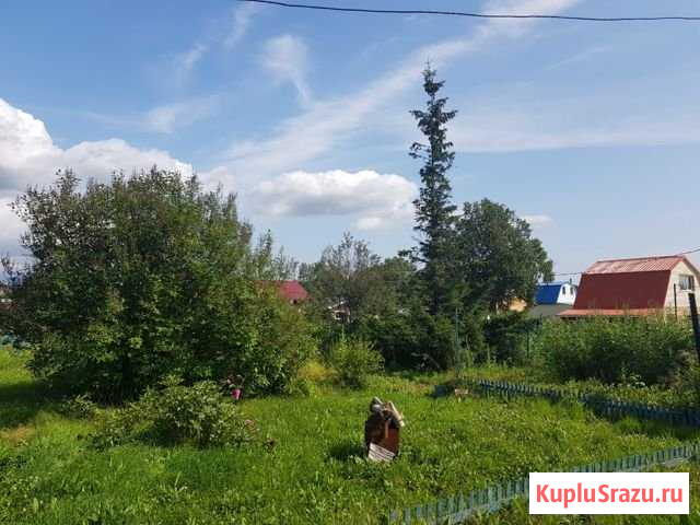 Дача 23 м² на участке 10 сот. на продажу в Елизово Елизово - изображение 1
