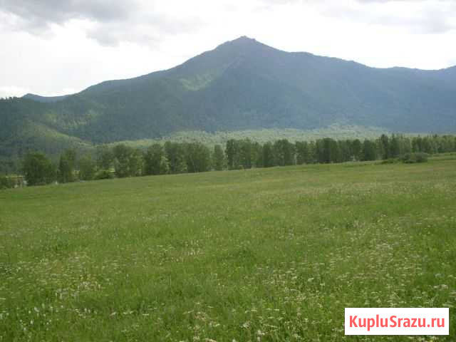 Участок СНТ, ДНП 1200 сот. на продажу в Усть-Коксе Усть-Кокса - изображение 3