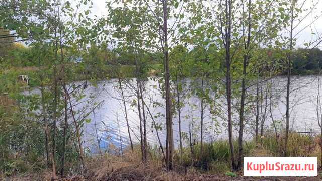 Участок СНТ, ДНП 650 сот. на продажу в Рогачево Рогачево - изображение 1