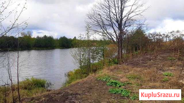Участок СНТ, ДНП 650 сот. на продажу в Рогачево Рогачево - изображение 2