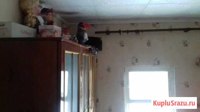 Дом 51 м² на участке 16 сот. на продажу в Шарлыке Шарлык - изображение 1