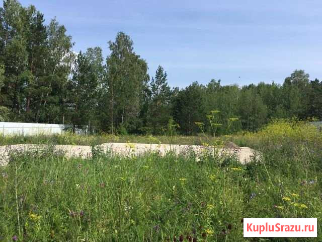 Участок СНТ, ДНП 13 сот. на продажу в Красноярске Красноярск - изображение 2