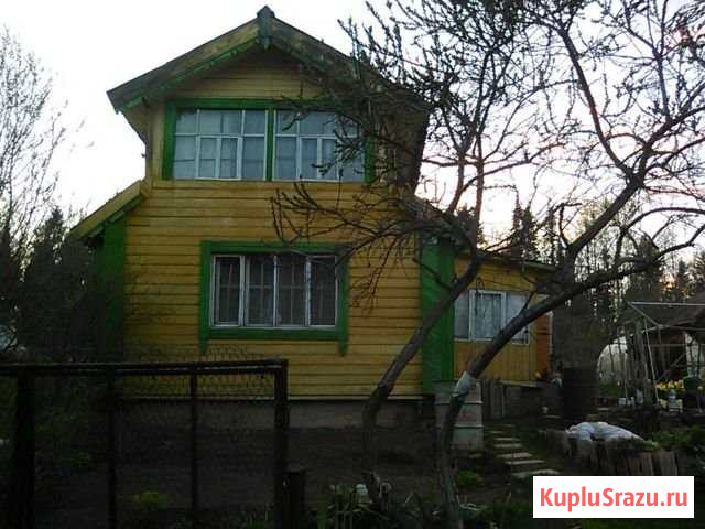 Дача 50 м² на участке 4 сот. на продажу в Ижевске Ижевск - изображение 3
