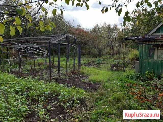Участок СНТ, ДНП 5 сот. на продажу в Лысково Лысково - изображение 2