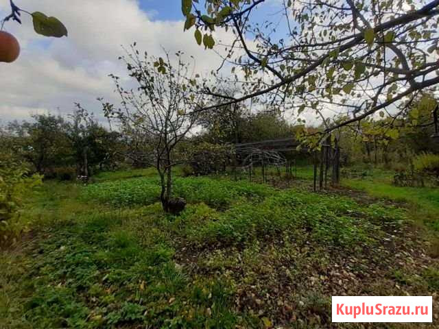 Участок СНТ, ДНП 5 сот. на продажу в Лысково Лысково - изображение 3