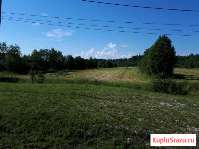 Участок СНТ, ДНП 15 сот. на продажу в Петрозаводске Петрозаводск - изображение 3