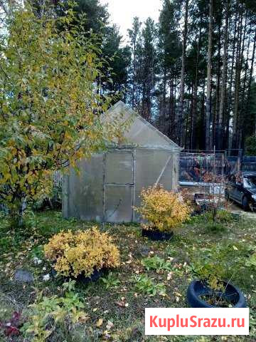 Дача 60 м² на участке 9 сот. на продажу в Дивногорске Дивногорск - изображение 3