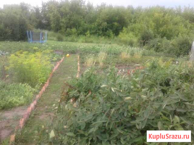 Дом 130 м² на участке 15 сот. на продажу в Новоалтайске Новоалтайск - изображение 3
