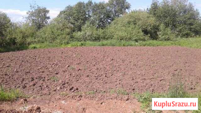 Участок СНТ, ДНП 8 сот. на продажу в Лобаново Лобаново - изображение 1