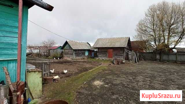 Дом 61 м² на участке 6 сот. на продажу в Клинцах Клинцы - изображение 3