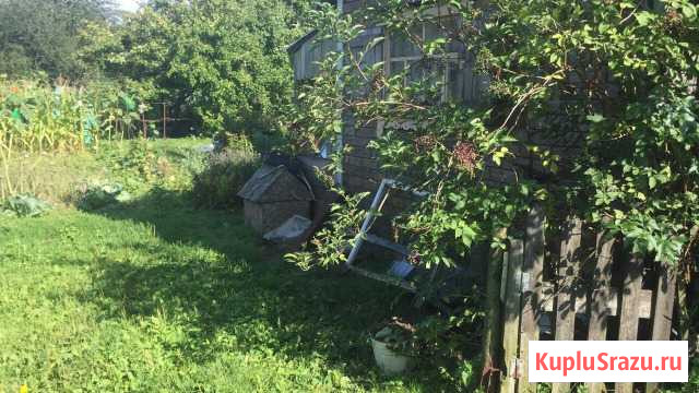 Участок СНТ, ДНП 10 сот. на продажу в Калининграде Калининград - изображение 2