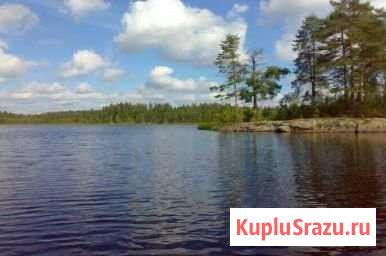 Участок ИЖС 2740 сот. на продажу в Красной Долине Красная Долина - изображение 1