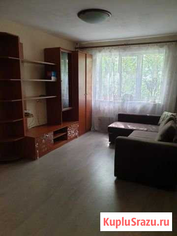 1-комнатная квартира, 31 м², 3/9 эт. в аренду на длительный срок в Солнечногорске Солнечногорск - изображение 1