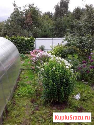 Дача 24 м² на участке 6 сот. на продажу в Балашихе Балашиха - изображение 3