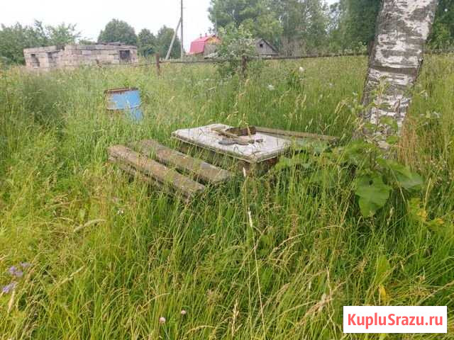 Дом 53.5 м² на участке 12 сот. на продажу в Балакирево Балакирево - изображение 3