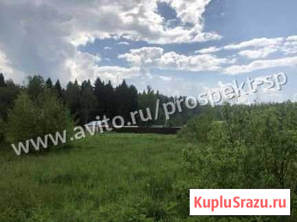 Участок СНТ, ДНП 13 сот. на продажу в Хотьково Хотьково - изображение 2