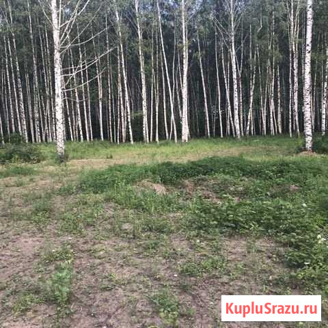 Участок ИЖС 8 сот. на продажу в Рязани Рязань - изображение 3
