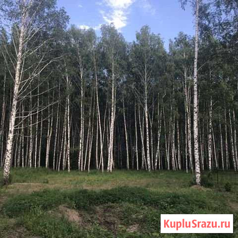 Участок ИЖС 8 сот. на продажу в Рязани Рязань - изображение 2
