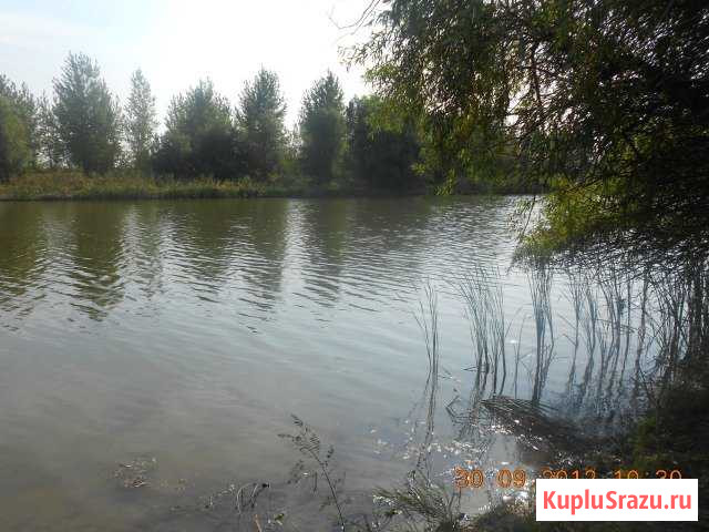 Участок СНТ, ДНП 910 сот. на продажу в Камызяке Камызяк - изображение 3