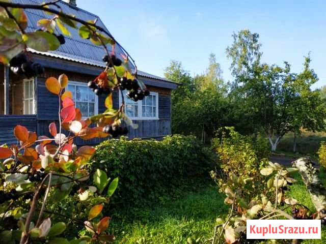 Дом 128 м² на участке 15 сот. на продажу в Стругах Красных Струги Красные - изображение 1