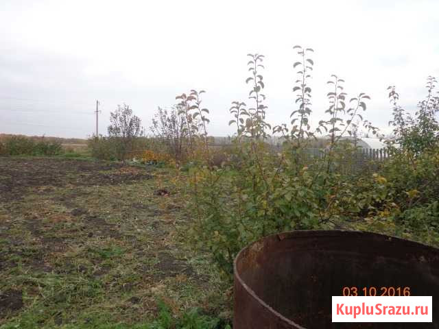 Дом 66 м² на участке 15 сот. на продажу в Любинском Любинский - изображение 3