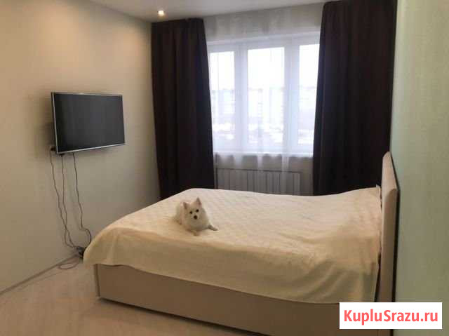 1-комнатная квартира, 35 м², 4/5 эт. на продажу в Архангельске Архангельск - изображение 3