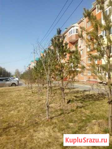 3-комнатная квартира, 65 м², 5/5 эт. на продажу в Хабаровске Хабаровск - изображение 1