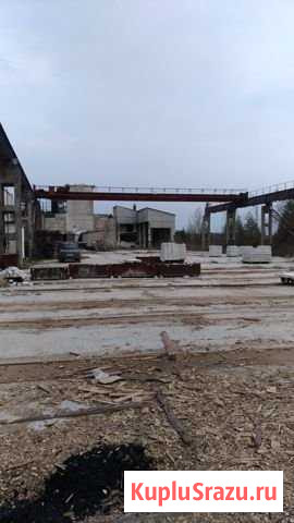 Участок промназначения 25 сот. в аренду в Ярославле Ярославль - изображение 1