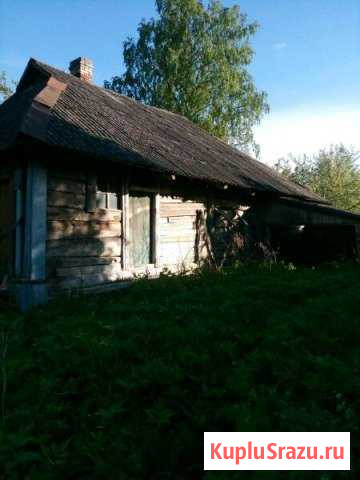 Дом 35 м² на участке 52 сот. на продажу в Новоржеве Новоржев - изображение 3