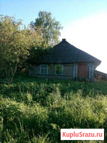 Дом 35 м² на участке 52 сот. на продажу в Новоржеве Новоржев - изображение 2