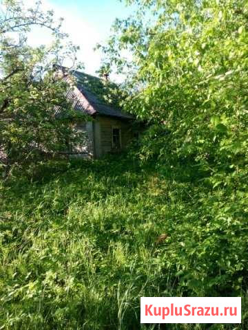 Дом 35 м² на участке 52 сот. на продажу в Новоржеве Новоржев - изображение 1