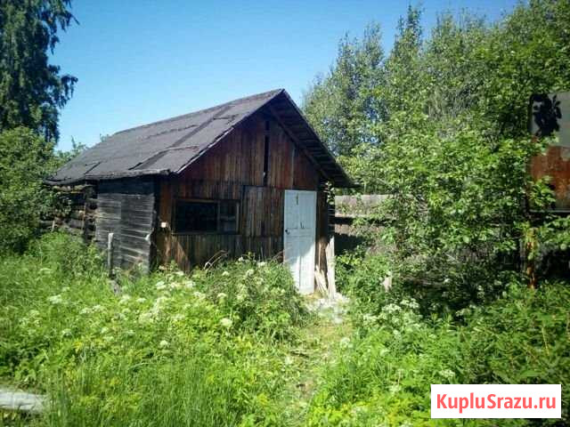 Дача 50 м² на участке 6.4 сот. на продажу в Бору Бор - изображение 3