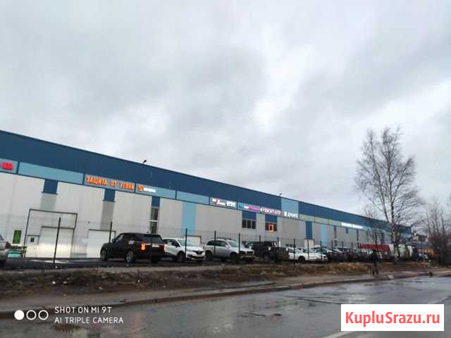 Помещение аренда Автосервис 50 кв.м. Санкт-Петербург - изображение 2