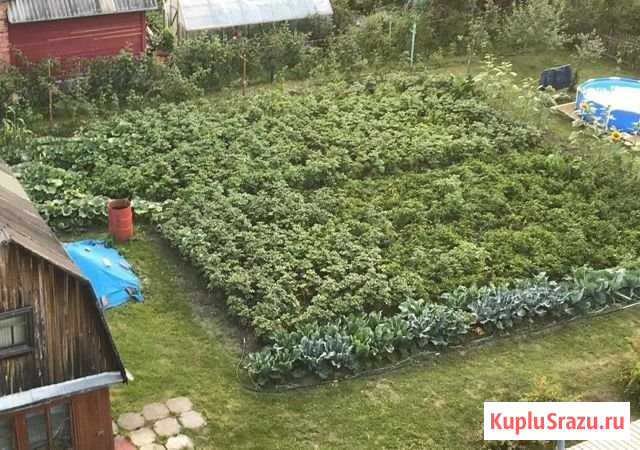 Дача 20 м² на участке 600 сот. на продажу в Новосибирске Новосибирск - изображение 1