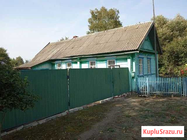 Дом 55 м² на участке 30 сот. на продажу в Сураже Сураж - изображение 2