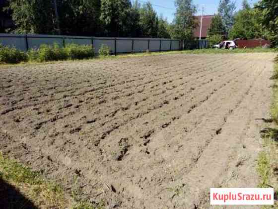 Участок СНТ, ДНП 8 сот. на продажу в Сургуте Ханты-Мансийского АО Сургут