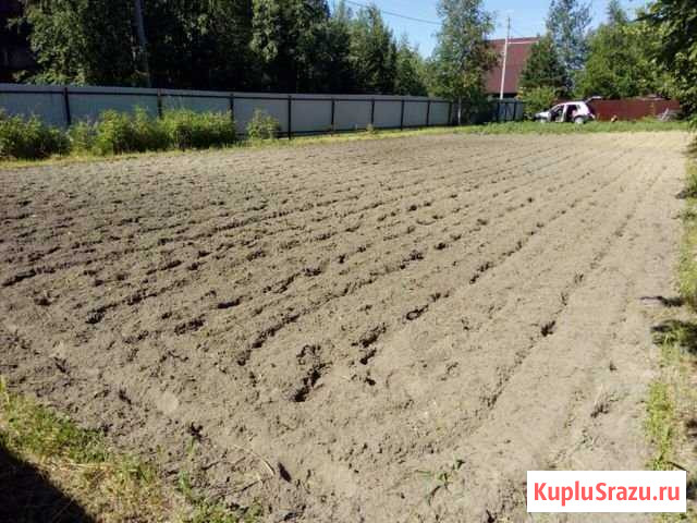 Участок СНТ, ДНП 8 сот. на продажу в Сургуте Ханты-Мансийского АО Сургут - изображение 2