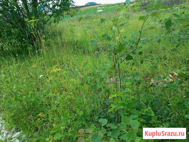Участок ИЖС 12 сот. на продажу в Жабино Жабино - изображение 2