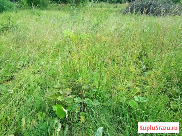 Участок ИЖС 12 сот. на продажу в Жабино Жабино - изображение 1