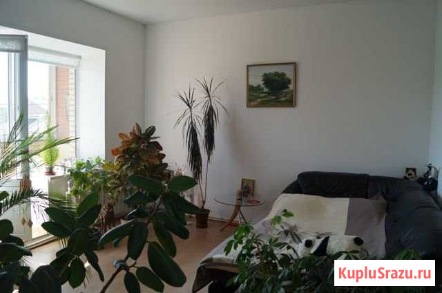 2-комнатная квартира, 56 м², 2/6 эт. на продажу в Ярославле Ярославль - изображение 1