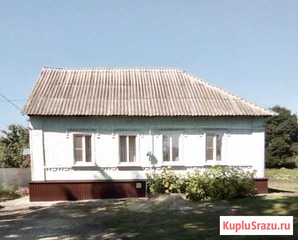 Дом 90 м² на участке 35 сот. на продажу в Добром Доброе - изображение 1