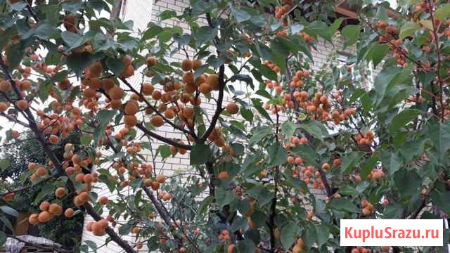 Дом 140 м² на участке 7 сот. на продажу в Волгограде Волгоград - изображение 2
