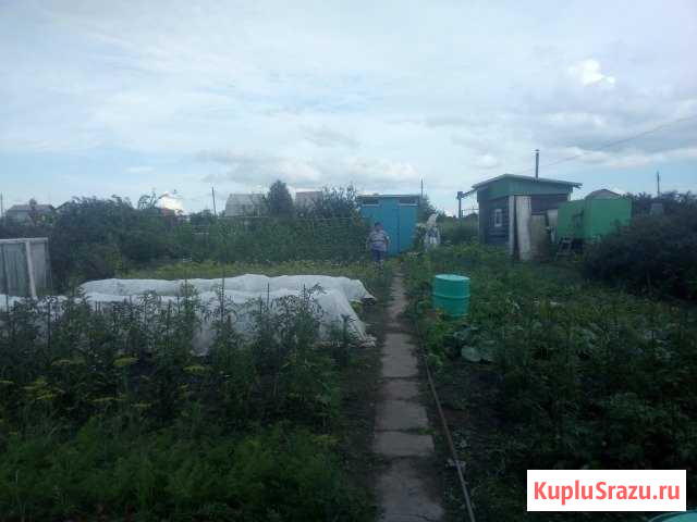 Дача 50 м² на участке 10 сот. на продажу в Павловске Алтайского края Павловск - изображение 3