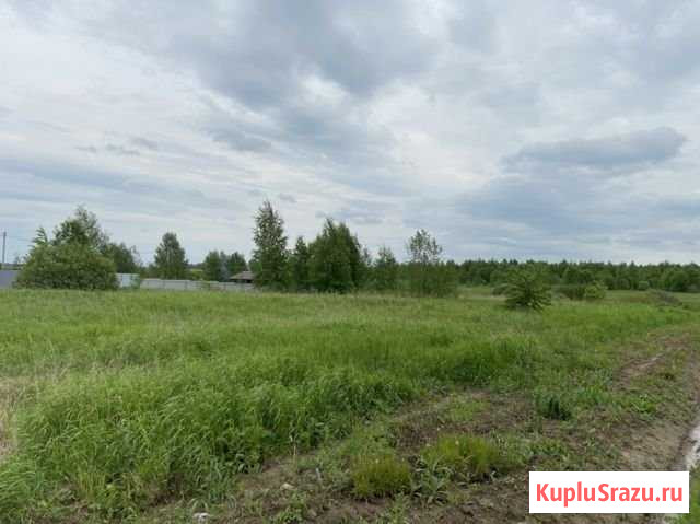 Участок СНТ, ДНП 12 сот. на продажу в Волоколамске Волоколамск - изображение 2