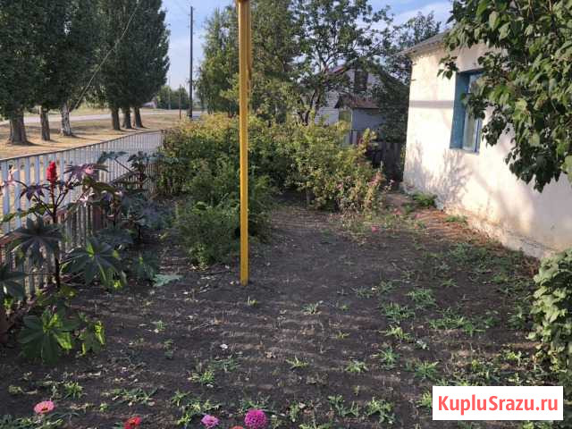 Дом 48 м² на участке 12 сот. на продажу в Осинках Осинки - изображение 3