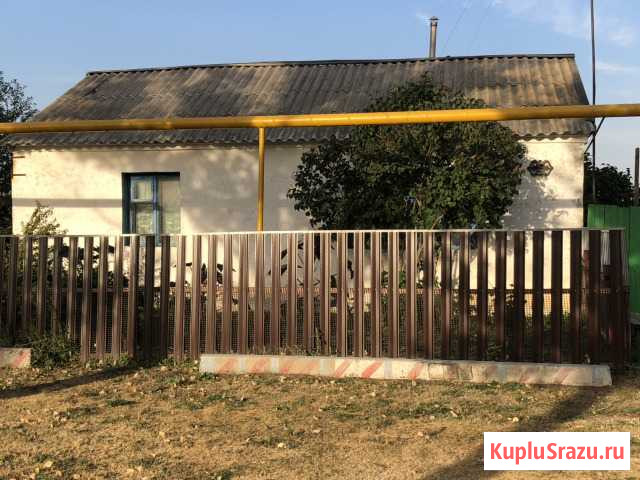 Дом 48 м² на участке 12 сот. на продажу в Осинках Осинки - изображение 2