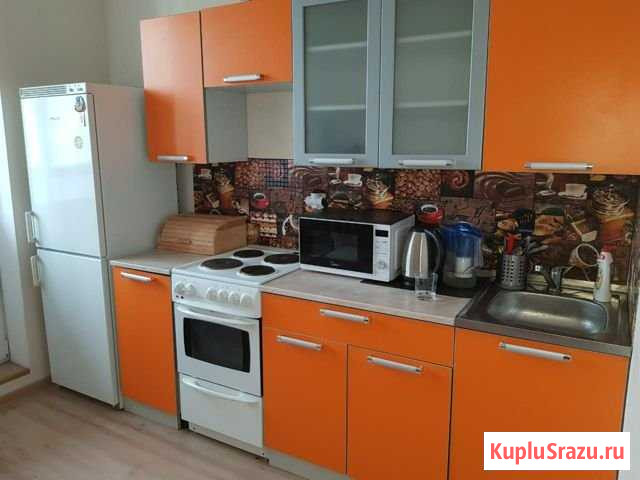 1-комнатная квартира, 35 м², 16/24 эт. в аренду на длительный срок в Мурино Мурино - изображение 1