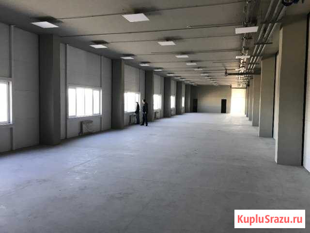 Офисное помещение, зал, 892 кв.м. Новосибирск - изображение 1