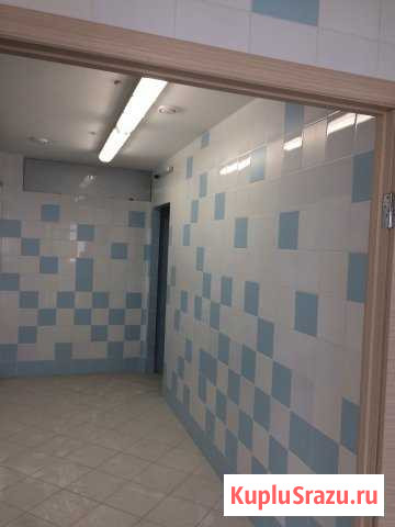 Помещение свободного назначения, 177 кв.м. Красноярск - изображение 2
