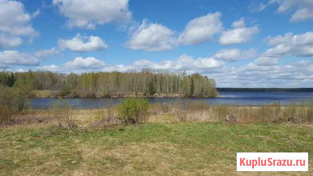 Участок ИЖС 35 сот. на продажу в Селижарово Селижарово - изображение 1